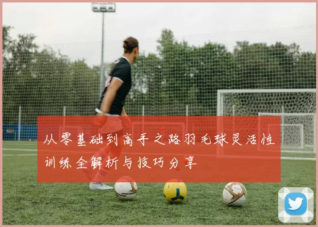 从零基础到高手之路羽毛球灵活性训练全解析与技巧分享