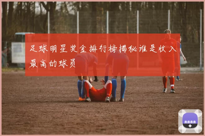 足球明星奖金排行榜揭秘谁是收入最高的球员
