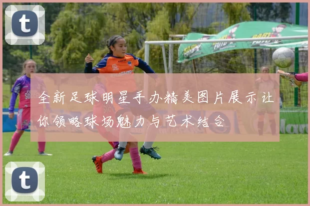 全新足球明星手办精美图片展示让你领略球场魅力与艺术结合
