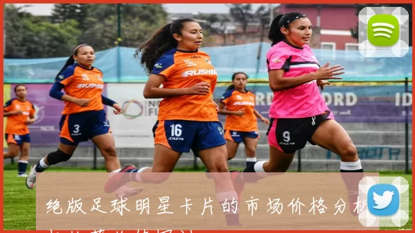 绝版足球明星卡片的市场价格分析与收藏价值探讨