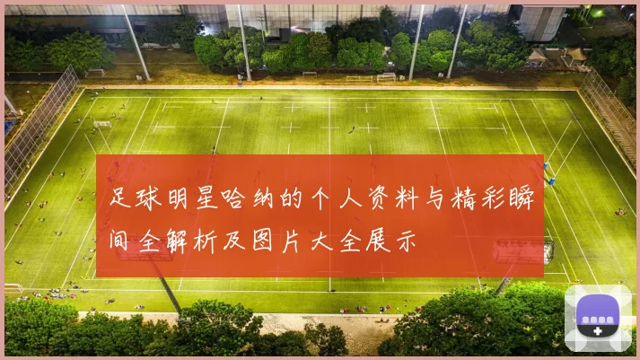 足球明星哈纳的个人资料与精彩瞬间全解析及图片大全展示