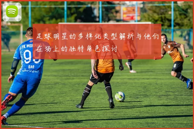 足球明星的多样化类型解析与他们在场上的独特角色探讨