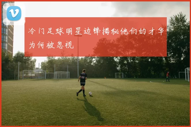 冷门足球明星边锋揭秘他们的才华为何被忽视