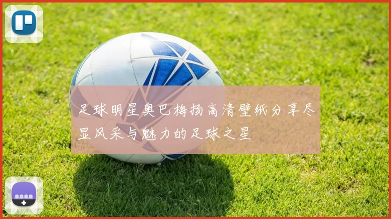 足球明星奥巴梅扬高清壁纸分享尽显风采与魅力的足球之星