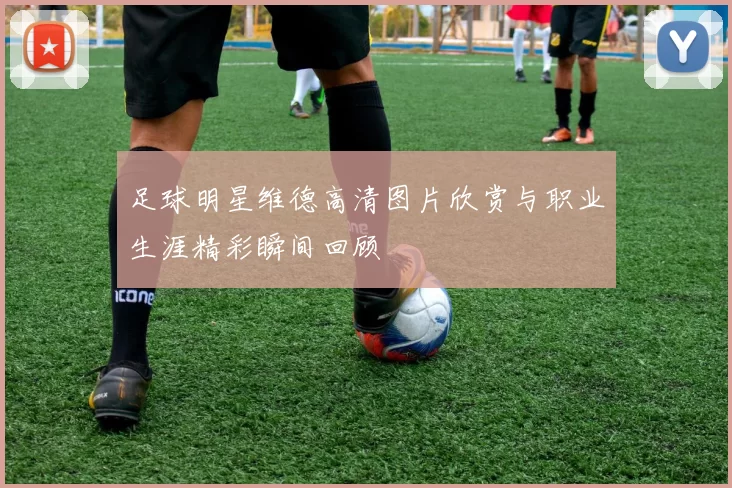 足球明星维德高清图片欣赏与职业生涯精彩瞬间回顾