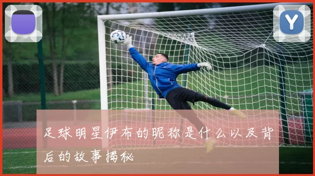 足球明星伊布的昵称是什么以及背后的故事揭秘