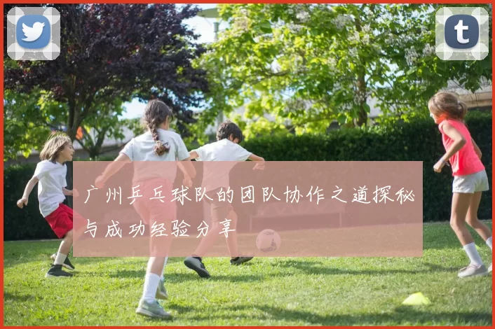 广州乒乓球队的团队协作之道探秘与成功经验分享